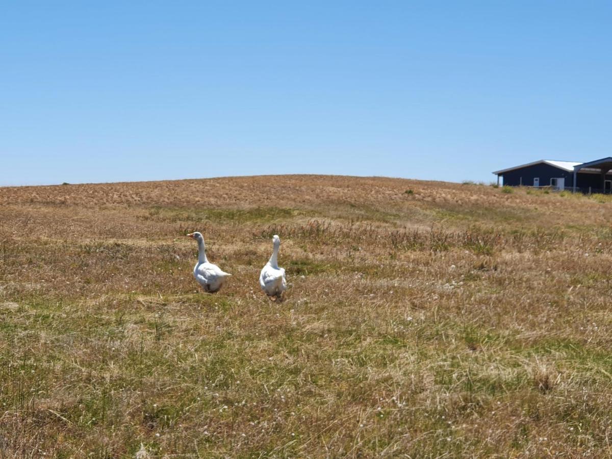 Coorong Island Retreat - Farm Stay At Pet Friendly Property Meningie ภายนอก รูปภาพ