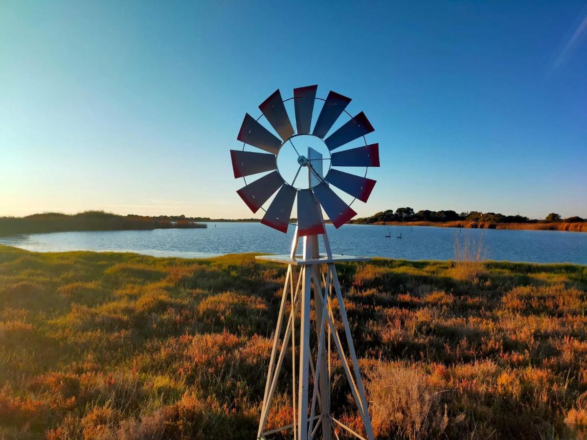 Coorong Island Retreat - Farm Stay At Pet Friendly Property Meningie ภายนอก รูปภาพ