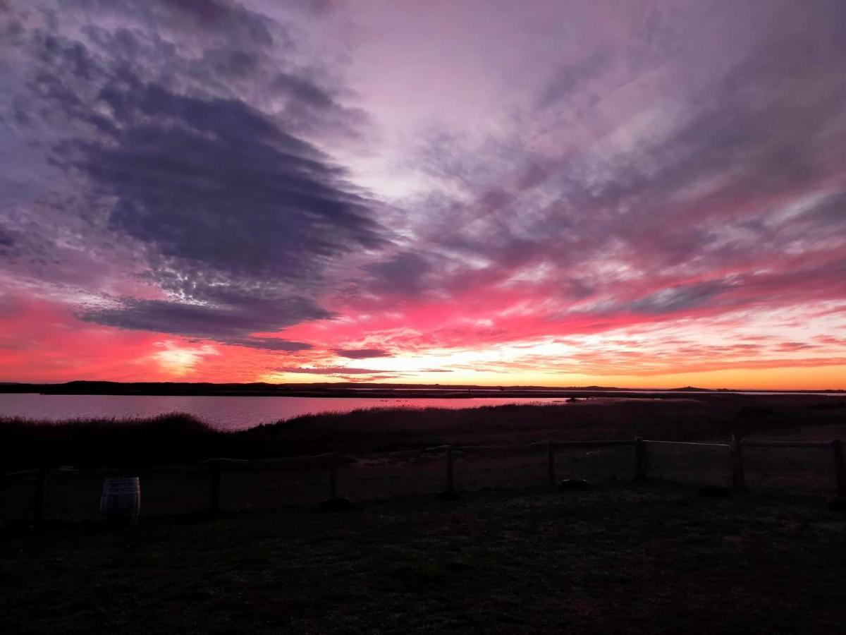 Coorong Island Retreat - Farm Stay At Pet Friendly Property Meningie ภายนอก รูปภาพ