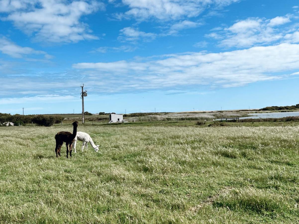 Coorong Island Retreat - Farm Stay At Pet Friendly Property Meningie ภายนอก รูปภาพ