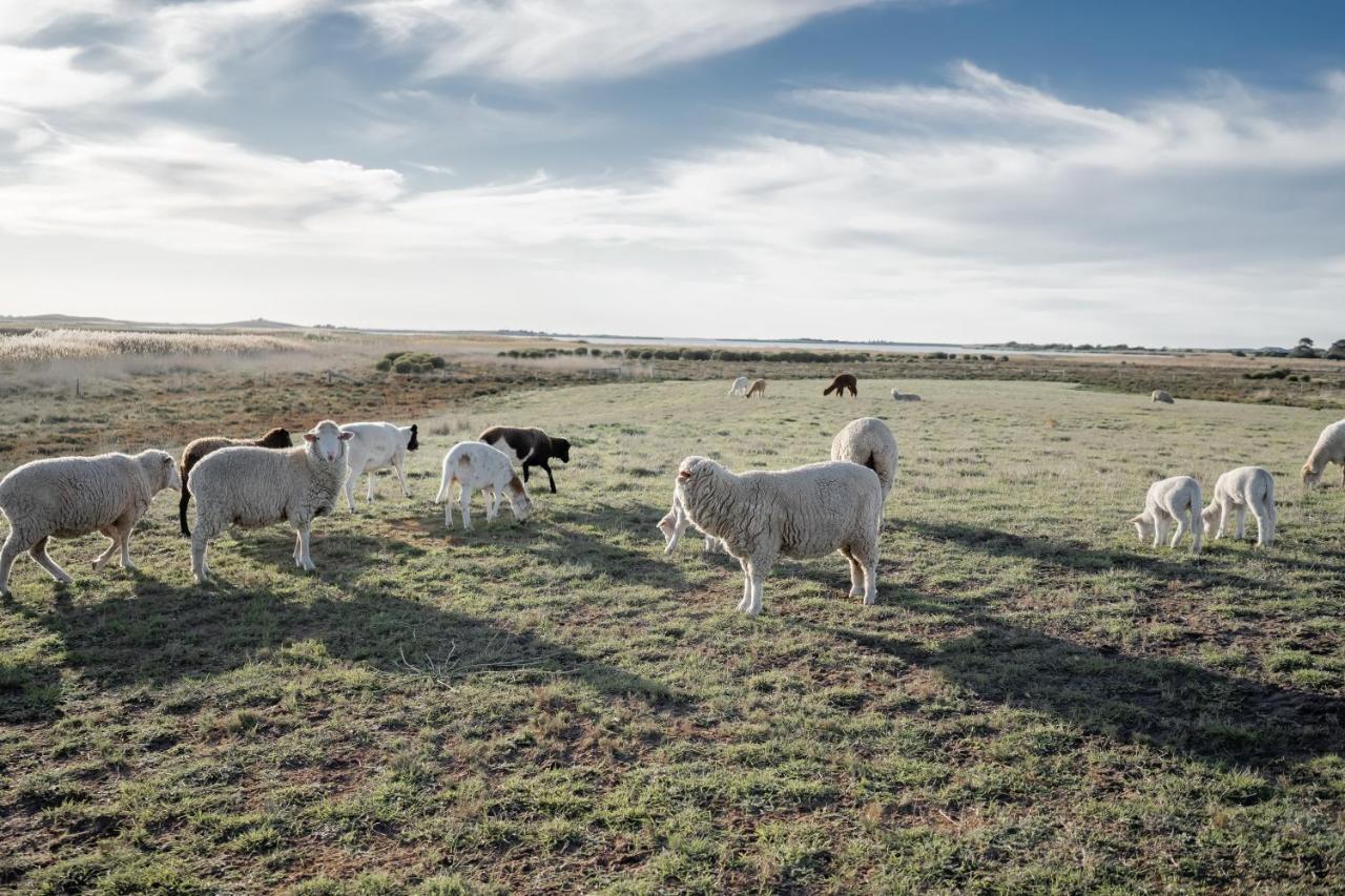 Coorong Island Retreat - Farm Stay At Pet Friendly Property Meningie ภายนอก รูปภาพ