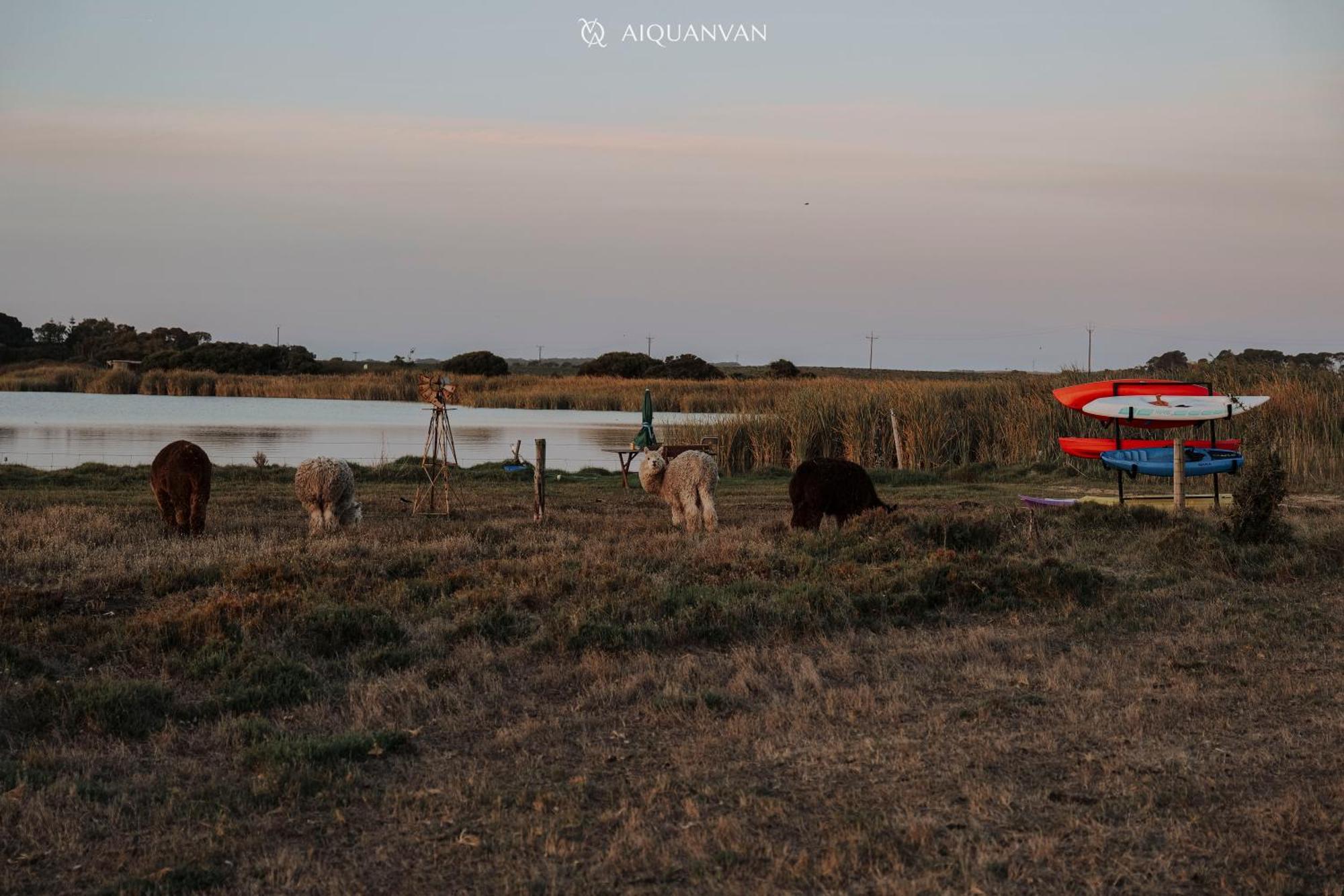 Coorong Island Retreat - Farm Stay At Pet Friendly Property Meningie ภายนอก รูปภาพ